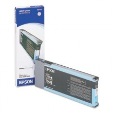 Epson Cartuccia d'inchiostro ciano (chiaro) C13T544500 T544500 220ml 