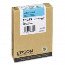 Epson Cartuccia d'inchiostro ciano (chiaro) C13T605500 T605500 110ml 