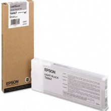 Epson Cartuccia d'inchiostro nero (chiaro) C13T606700 T606700 220ml 