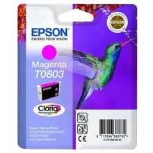 Epson Cartuccia d'inchiostro magenta C13T08034011 T0803 circa 460 pagine 7.4ml 