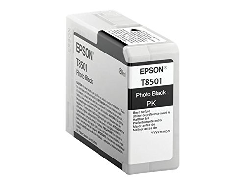 Epson Cartuccia d`inchiostro nero (foto) C13T850100