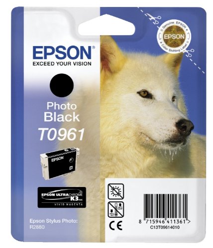 Epson Cartuccia d`inchiostro nero (foto) C13T09614010