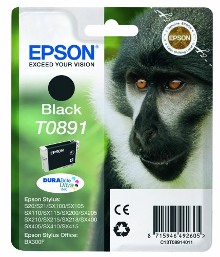 Epson Cartuccia d`inchiostro nero C13T08914011 T0891