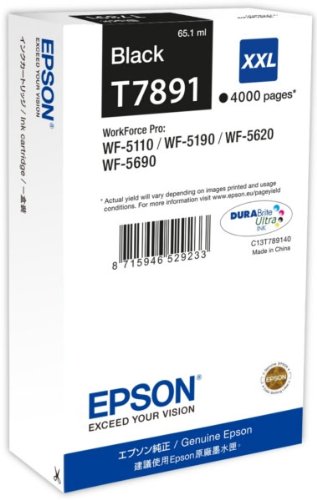 Epson Cartuccia d`inchiostro nero C13T789140 T7891