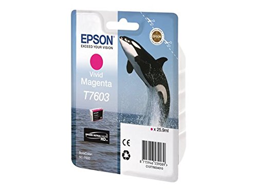 Epson Cartuccia d`inchiostro magenta (vivid) C13T76034010