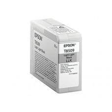 Epson Cartuccia d'inchiostro light light black C13T850900 T850900 80ml 